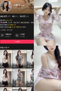 抖音 小野马ovo 微密圈 NO.004期 【22P2V】-微密空间